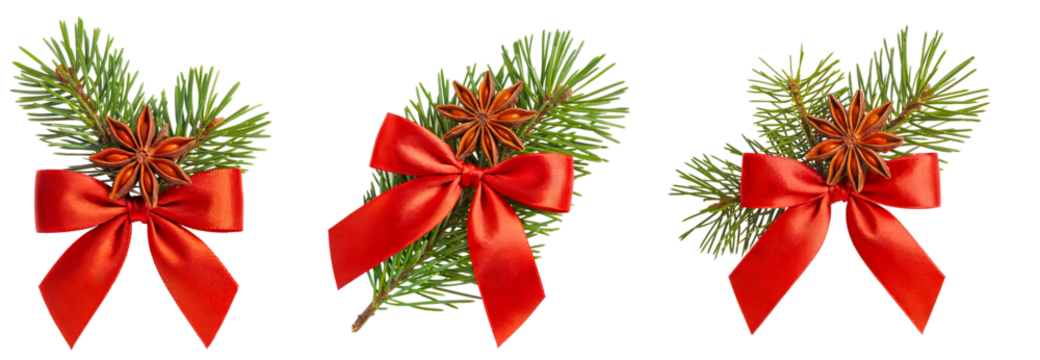 Christmas pine branch decoration with red satin bow and star anise, festive winter ornament isolated on transparent background for holiday gift wrapping, greeting, or seasonal design use