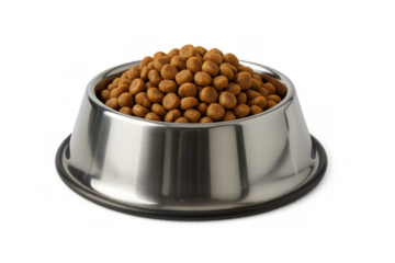 Dog dry food in a stainless steel bowl with kibble for pet nutrition and animal health, isolated with transparent background