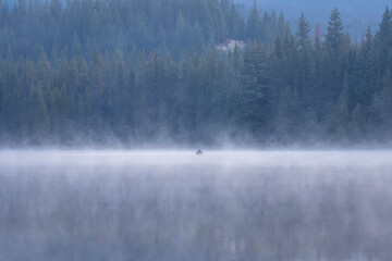 fog on the lake