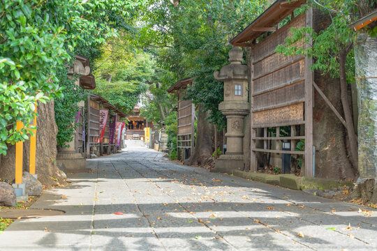 木々に囲まれた静寂な神社参道と石灯籠の風景
