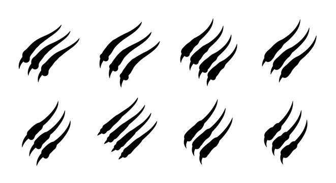 Dynamic claw marks graphic elements, fierce animal scratches, wild danger symbols, predatory attack signs, aggressive natural textures
