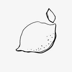 Lemon doodle, aesthetic illustration design element