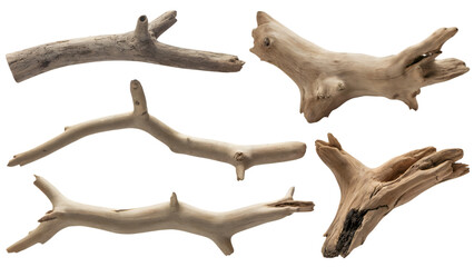 Fototapeta premium Driftwood pieces collection. Isolated on transparent background, png