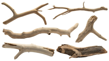 Driftwood collection . Isolated on transparent background, png