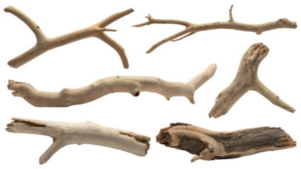 Driftwood collection . Isolated on transparent background, png