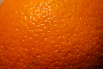close up of orange fruit