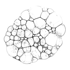 Obraz premium Black bubble art png element graphic