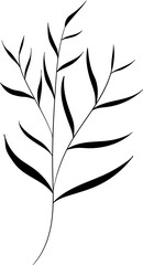 Botanical Line Art of Herbal Foliage Silhouette
