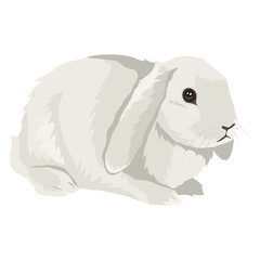 Pet png bunny, cute animal sticker, transparent background