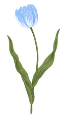Blue tulip png flower sticker, transparent background