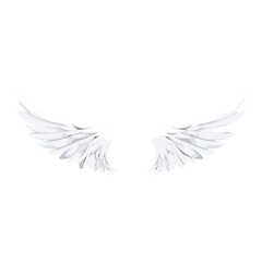 Obraz premium White angel wing illustration design wings vector