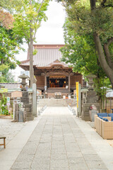 参道の奥に佇む神社の本殿