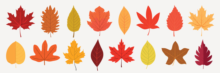 Colorful autumn leaves illustration, isolated vector set