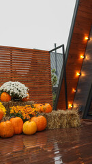 Autumnal outdoor display with pumpkins, hay bales, and fall flowers