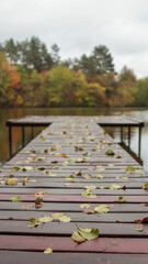 Wooden dock covered in autumn leaves on a calm lake under a cloudy sky