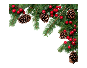 Festive christmas border with evergreen branches, pine cones, and red berries on transparent background