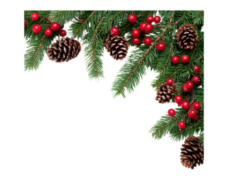 Festive christmas border with evergreen branches, pine cones, and red berries on transparent background