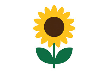 Obraz premium Sunflower vector illustration presenting a simple yellow flower with green leaves and a dark center, transparent background