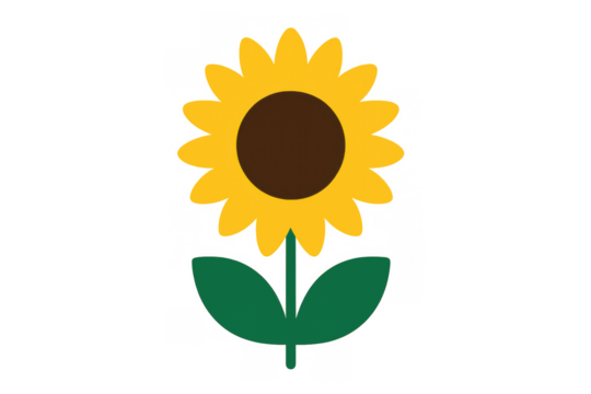 Sunflower vector illustration presenting a simple yellow flower with green leaves and a dark center, transparent background