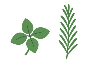 Naklejka premium Basil and rosemary herbs vector illustration, representing fresh ingredients for cooking, seasoning, and healthy food concepts. Transparent background