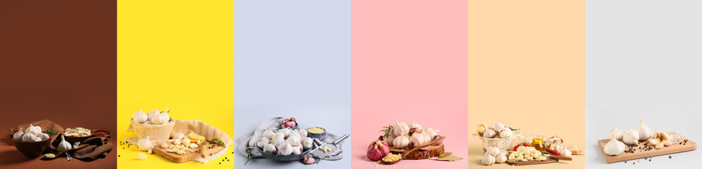 Set of fresh garlic on color background