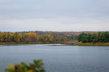 view of colorful autumn forest of Prince Edward Island Canada. High quality 4k footage