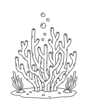 Coral reef with bubbles and seaweed