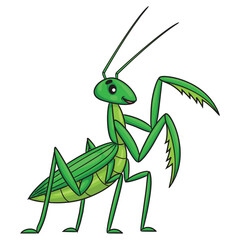 Illustration of a cute cartoon green praying mantis.
