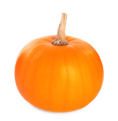 One whole ripe pumpkin isolated on white
