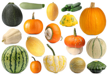 Fresh pumpkins and other vegetables of gourd family isolated on white, set