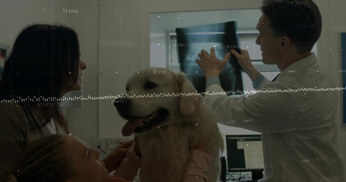 Veterinarian holding X-ray against light box in exam room with daughter petting golden retriever - Powered by Adobe