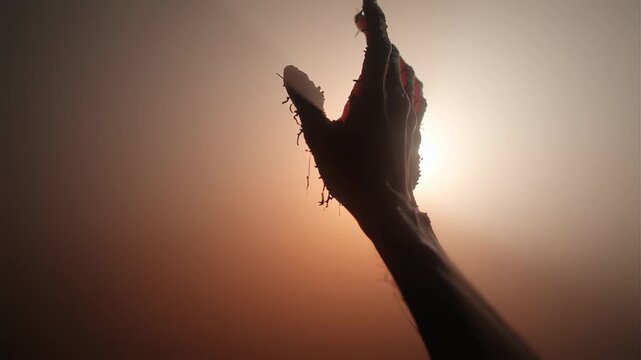 Scary silhouette of creepy zombie hand and arm rising from mysterious darkness, grasping desperately for sun in dramatic horror concept