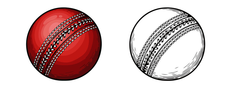 Detailed hand-drawn style illustration of two cricket balls one colored in red with white stitching and one black and white outline drawing of the ball