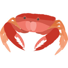 Red Crab with Large Claws and Detailed Texture on Transparent Background with Simple Facial Features