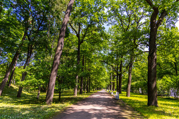 Catherine Park, Tree-filled urban park on the site of a former nobleman's estate with ponds walking paths, Pushkinsky District, Saint Petersburg, Russia