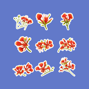 Flamboyant Tree Flower Stickers Collection
