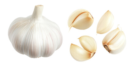 Fototapeta premium Whole garlic bulb and cloves isolated on transparent background