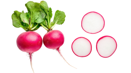 Fresh radishes whole and sliced isolated on transparent background