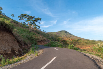 Beautiful low-angle photo of a winding asphalt road through rolling hills at sunrise. Warm golden light illuminates the serene landscape, creating a peaceful journey scene.
