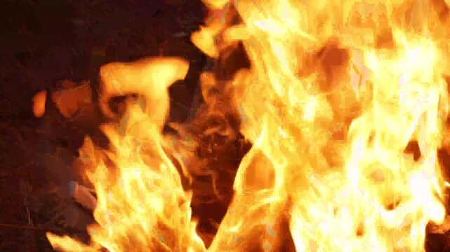 burning campfire in the woods