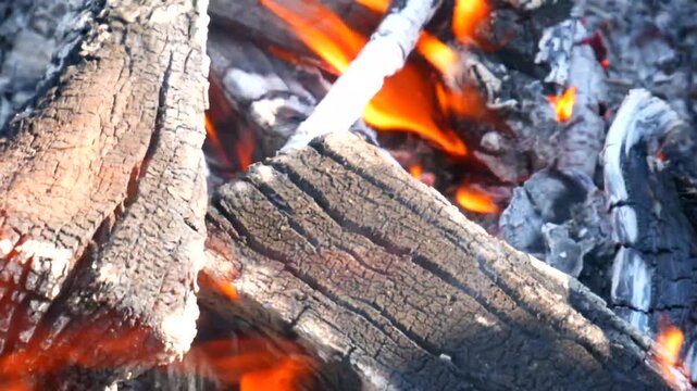 firewood in a fireplace. close-up