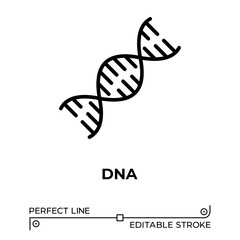 Vector line icon related to DNA. Perfect Line. Editable Stroke.