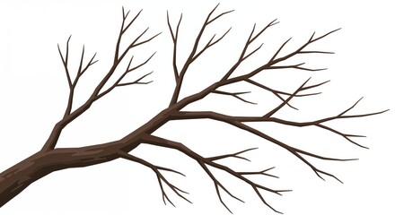 Obraz premium Bare Branch against Sky: An image showcasing the stark beauty of a tree branch, stripped of its leaves, silhouetted against the open sky.