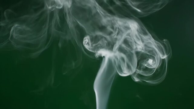 Ethereal white smoke or vapor forming intricate, swirling patterns against a dark green background, conveying a sense of mystery and elegance vector illustration