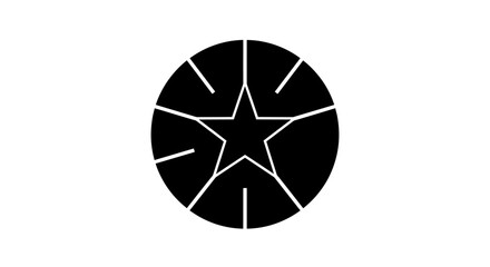 Modern abstract starburst emblem design with clean geometric lines and bold black silhouette on white background for impactful branding