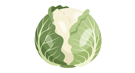 Fototapeta premium Fresh green cabbage head isolated on white background, healthy food concept.