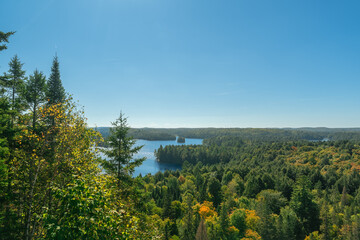 Stunning panoramic view of Algonquin Park forest and lakes under bright blue sky.