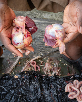 Raw turkey gizzard in hand, raw poultry gizzard being cleaned