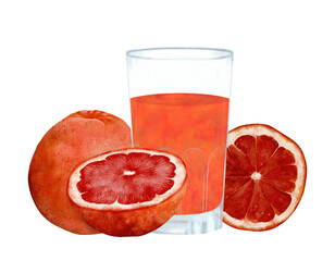 Refreshing Fresh Grapefruit Juice made with Whole Grapefruits, a delightful drink