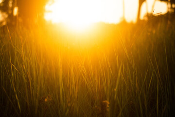 itacare, bahia, brazil, tropical, paradise, nature, sunlight, sea, ocean, coast, landscape, travel, tourism, green, blue, yellow, summer, beach, sand, wave, horizon, sunlight, sunlightreflection, exo  © Stanley